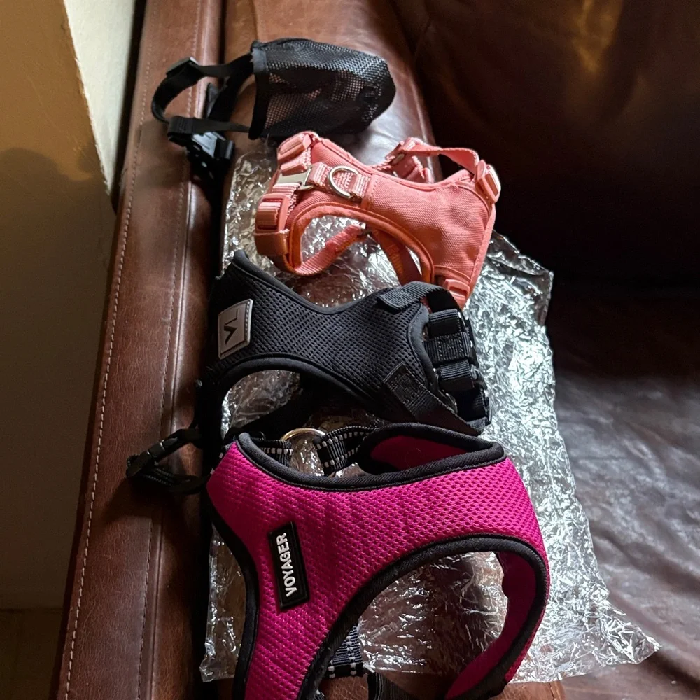 Voyager Dog Harness Set - Black, Pink, Orange